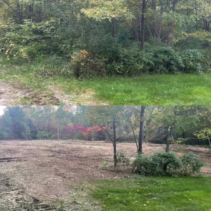Durham Forestry Mulching Land Clearing and Stump Grinding gallery 6
