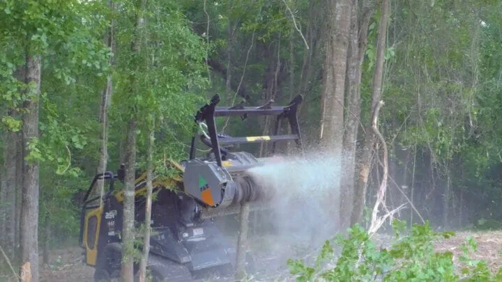 Durham Forestry Mulching Land Clearing and Stump Grinding gallery 7