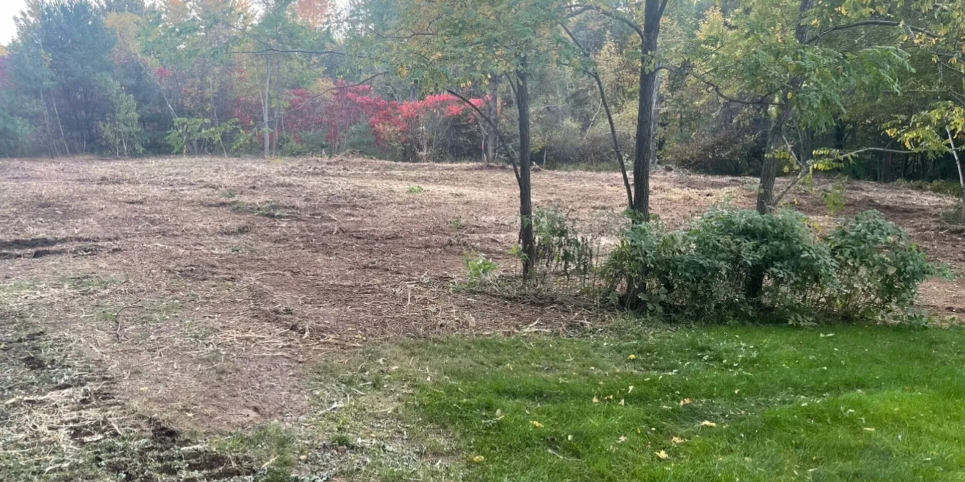 Durham Forestry Mulching Land Clearing and Stump Grinding gallery 9