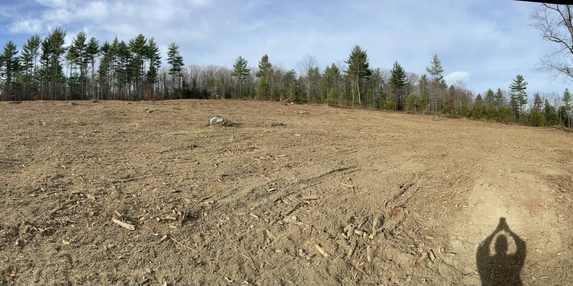 Durham Forestry Mulching Land Clearing and Stump Grinding gallery 10