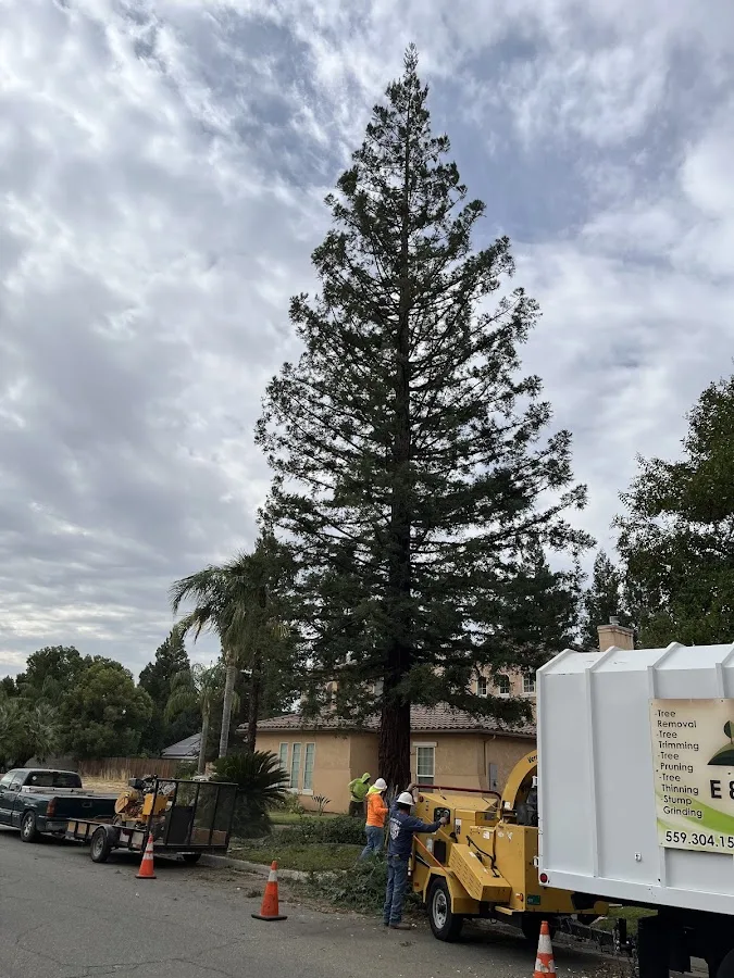 E & J Sanchez Tree Service