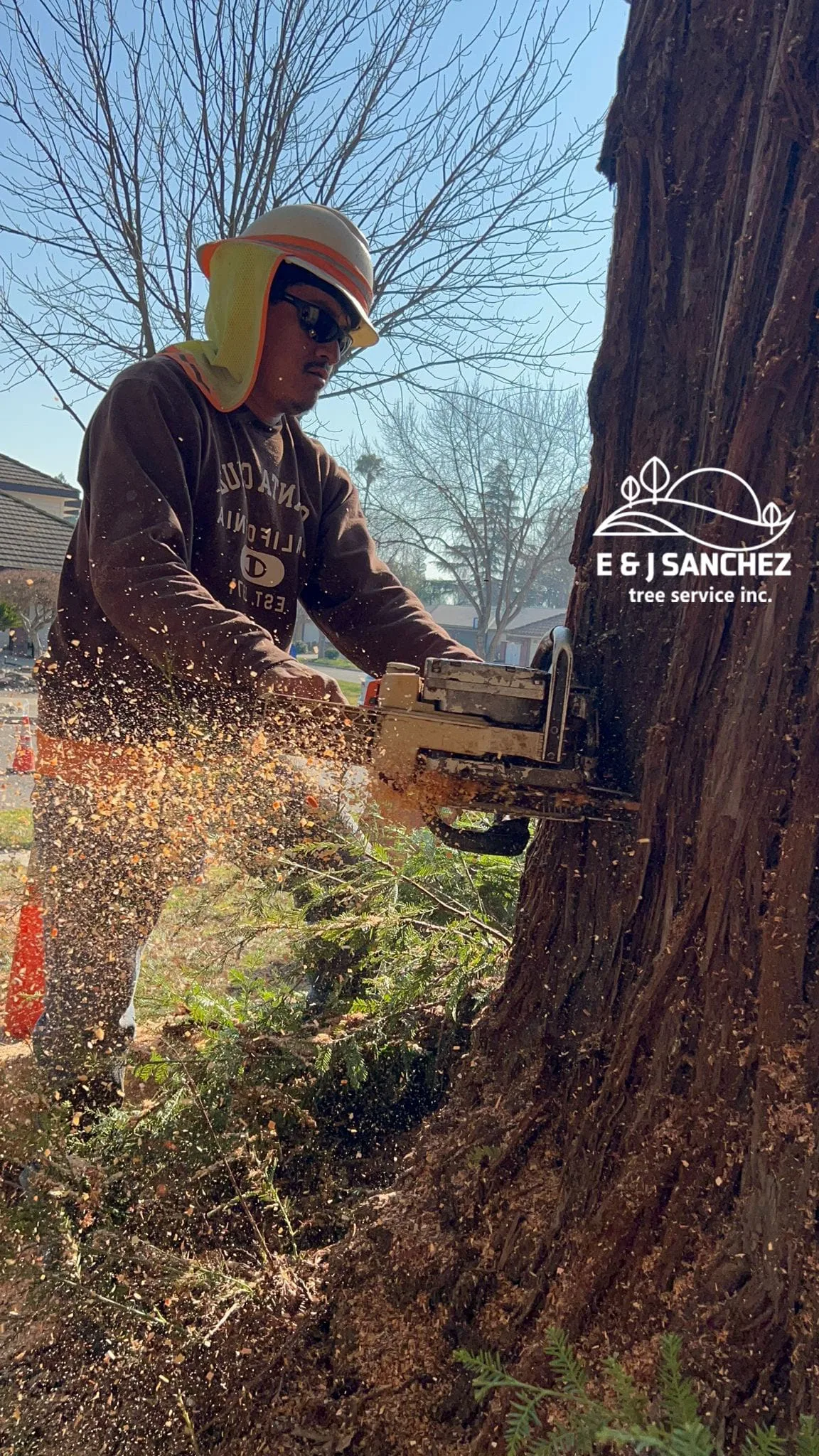 E & J Sanchez Tree Service gallery 5