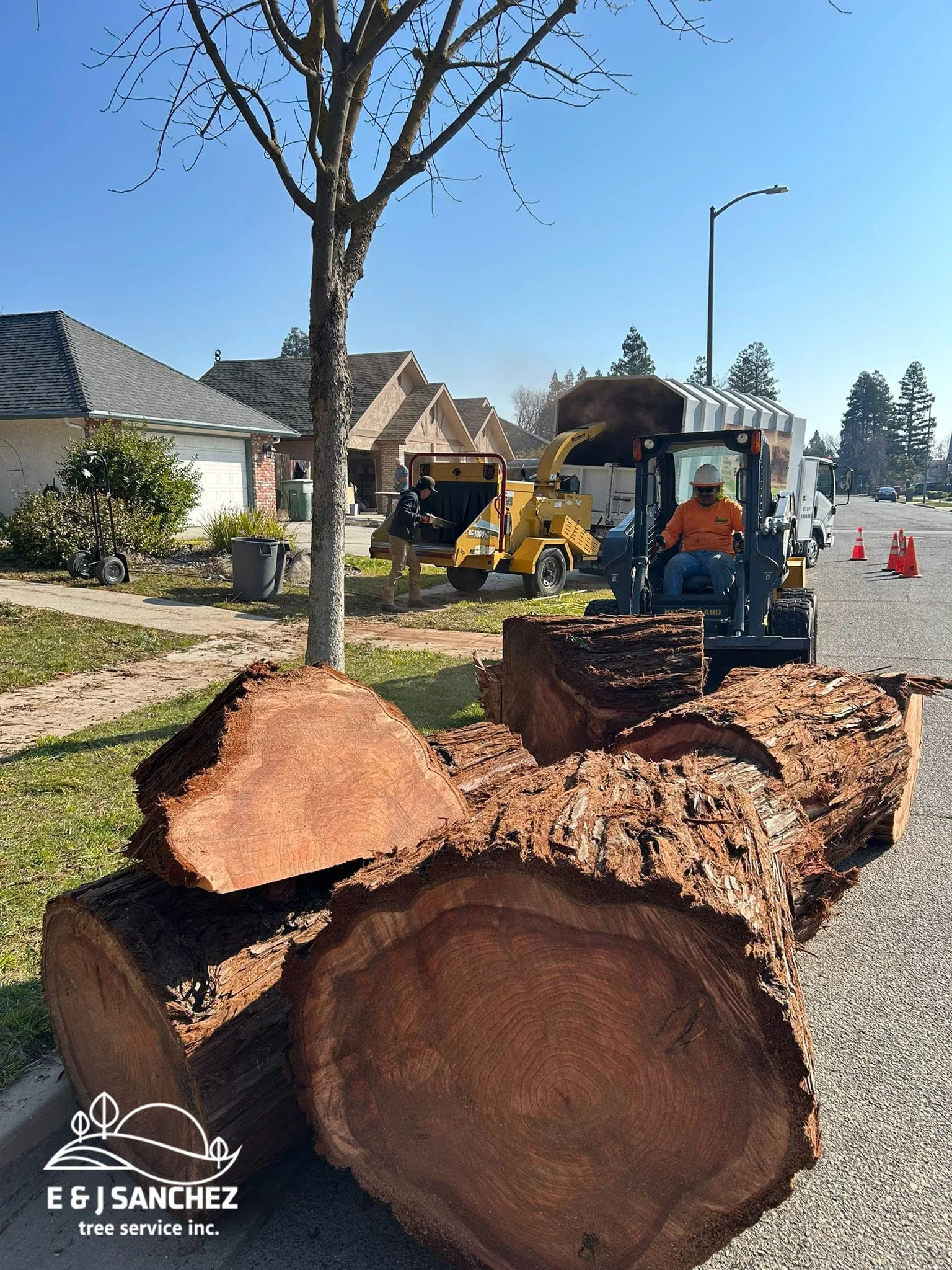 E & J Sanchez Tree Service gallery 6