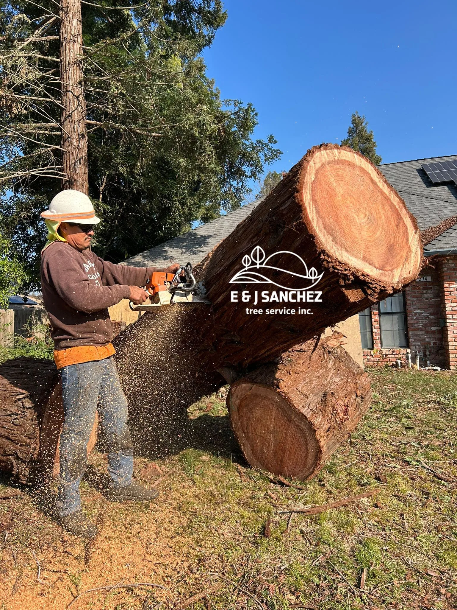 E & J Sanchez Tree Service gallery 7