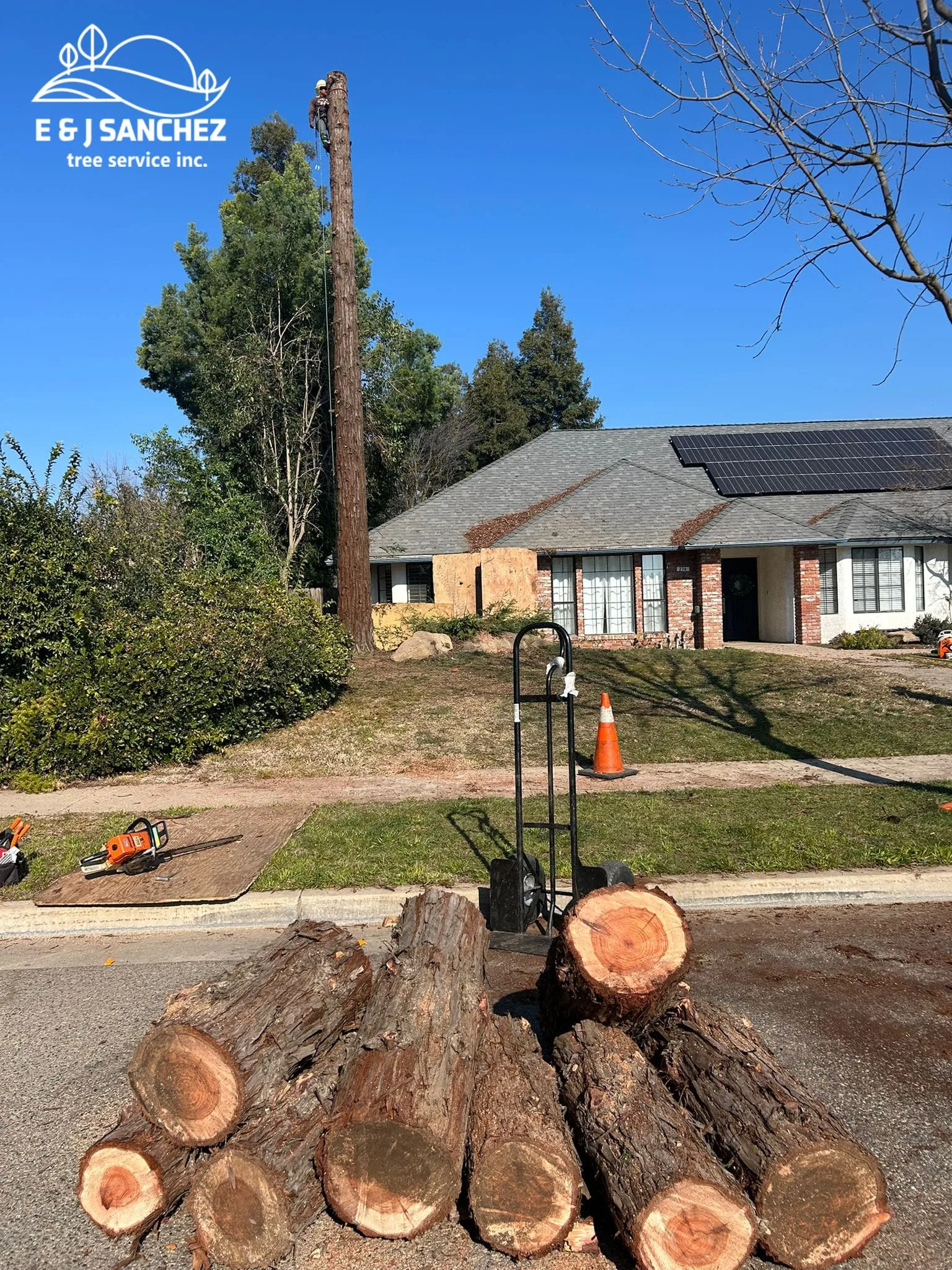 E & J Sanchez Tree Service gallery 8