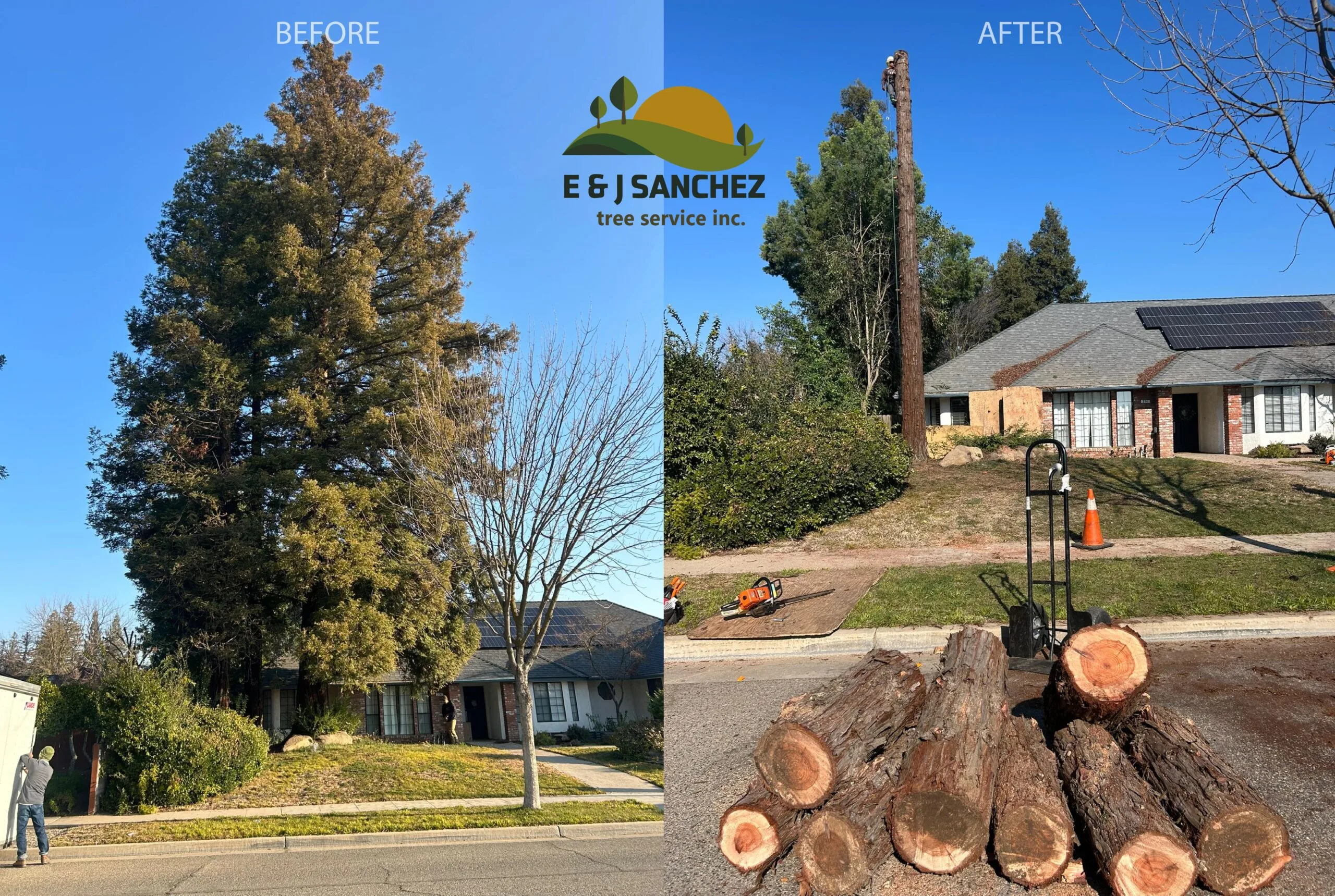 E & J Sanchez Tree Service gallery 9