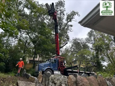 Earthworks Tree Services, INC gallery 2