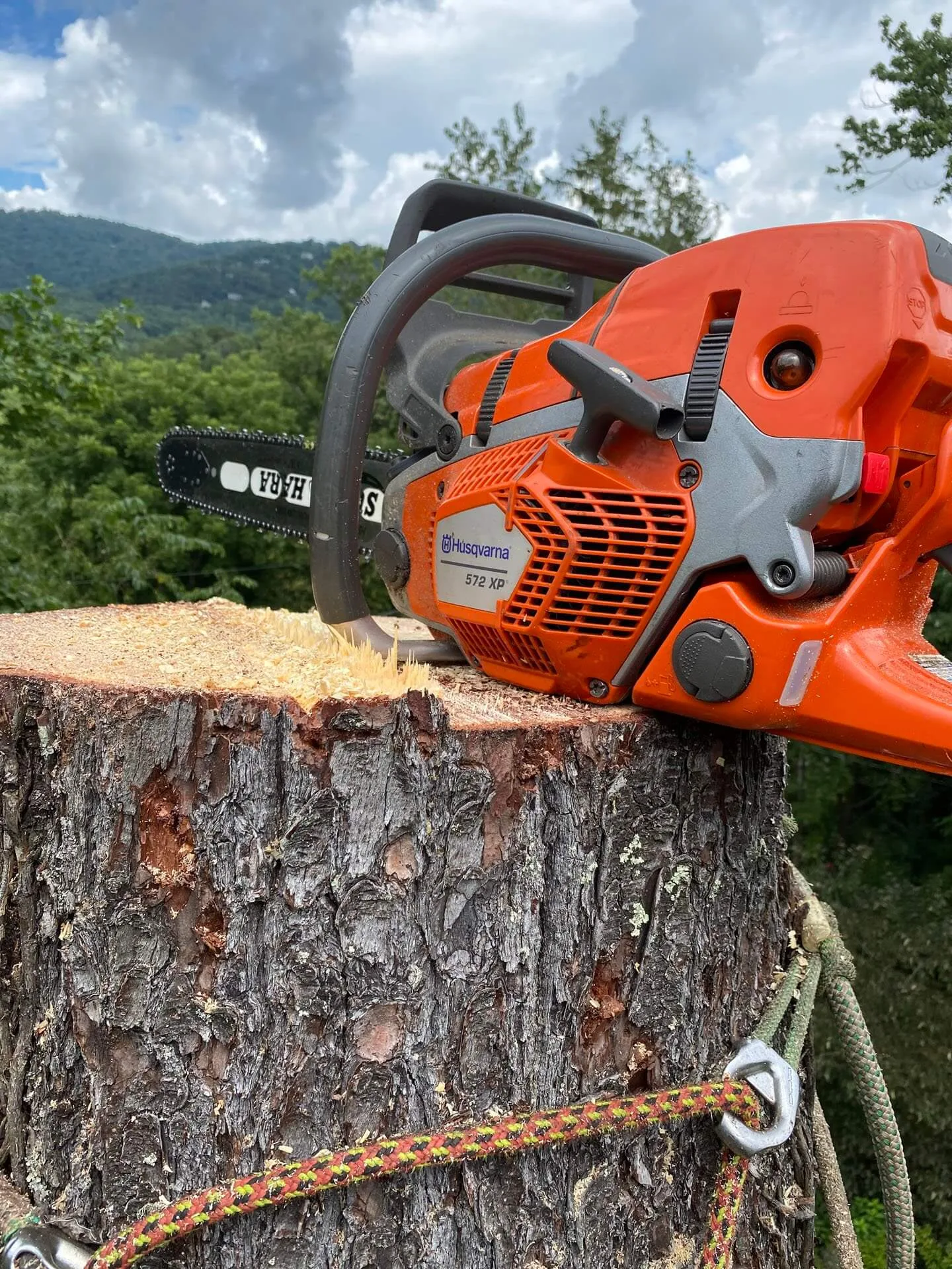 Earthworks Tree Services, INC gallery 8