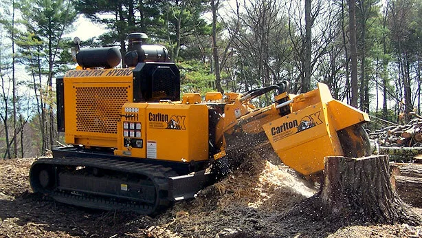 Ecotree LLC
