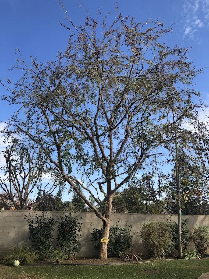 EMPIRE TREE SERVICE INC