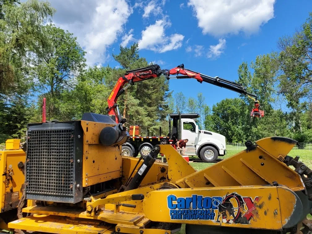 Expert Tree Service