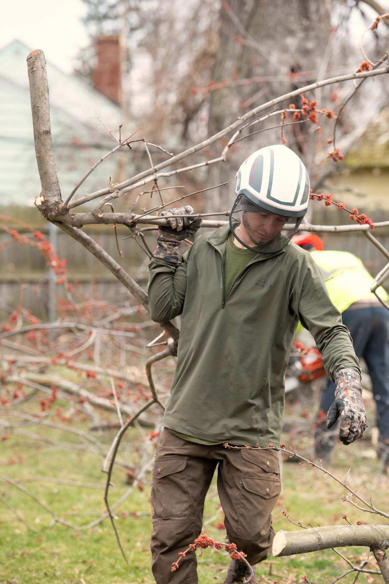 Expert Tree Service gallery 8