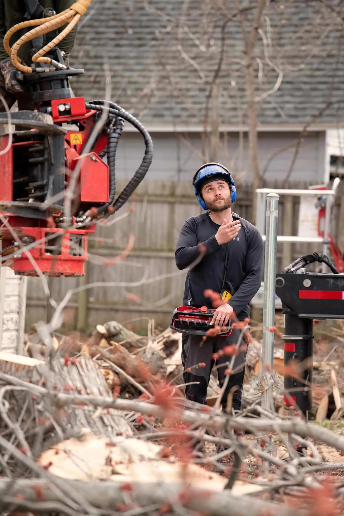 Expert Tree Service gallery 10