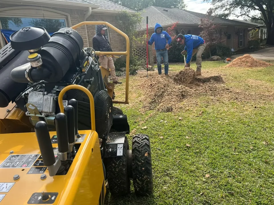 Experts Tree Service gallery 2