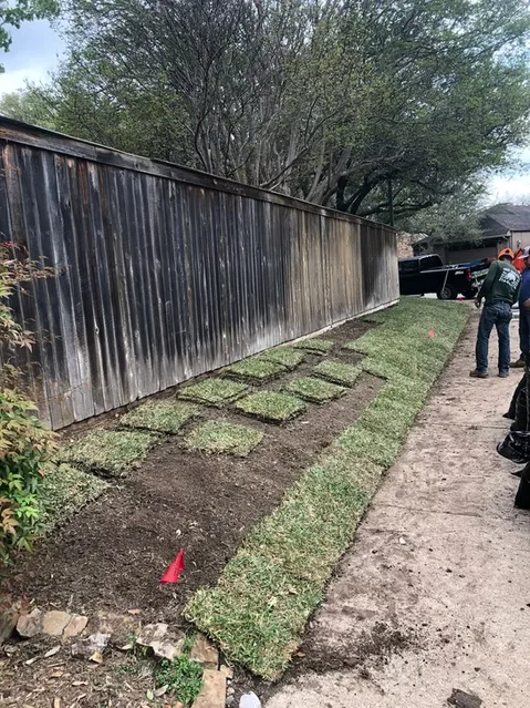 Experts Tree Service gallery 5