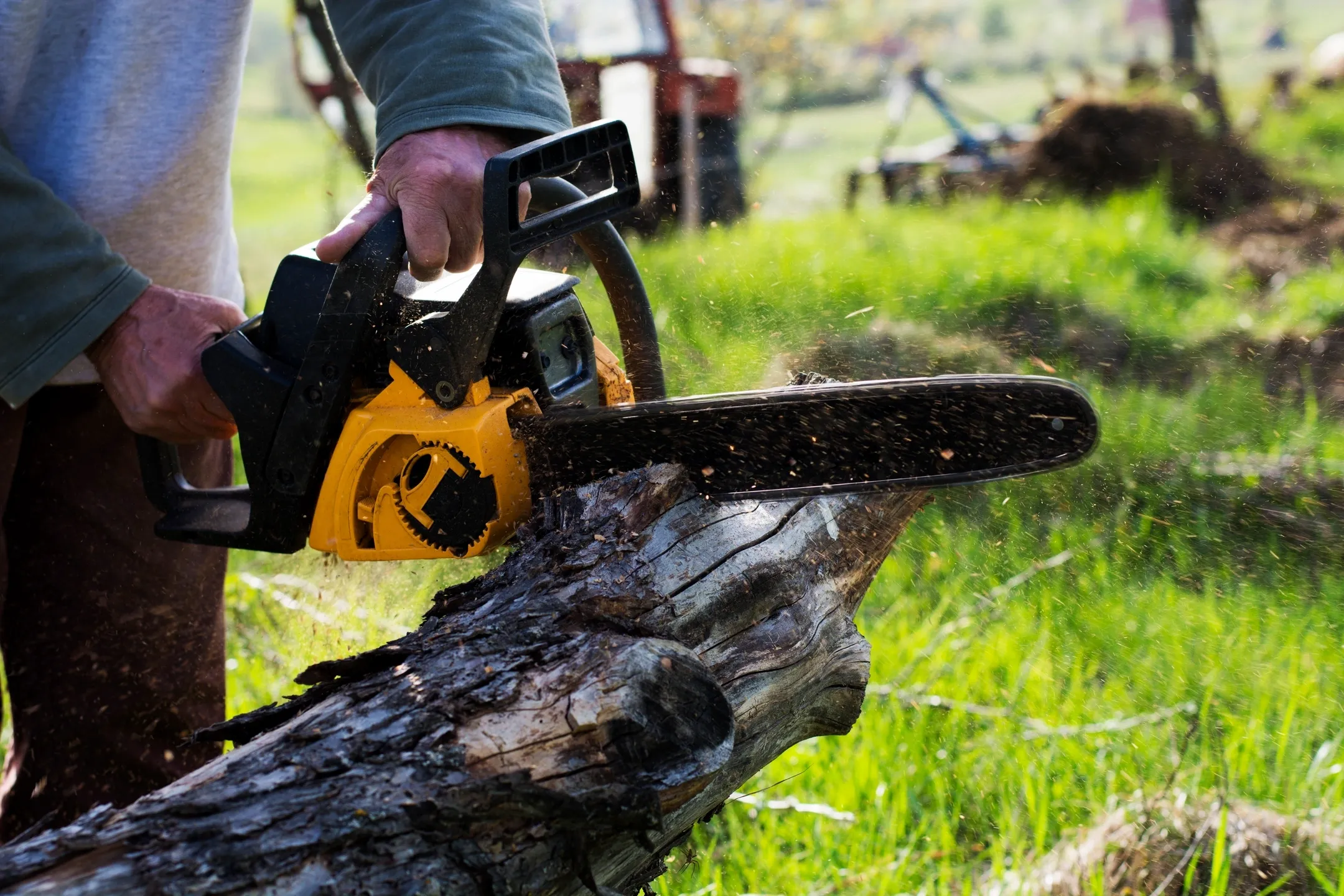 Falling Timbers Tree Services gallery 2