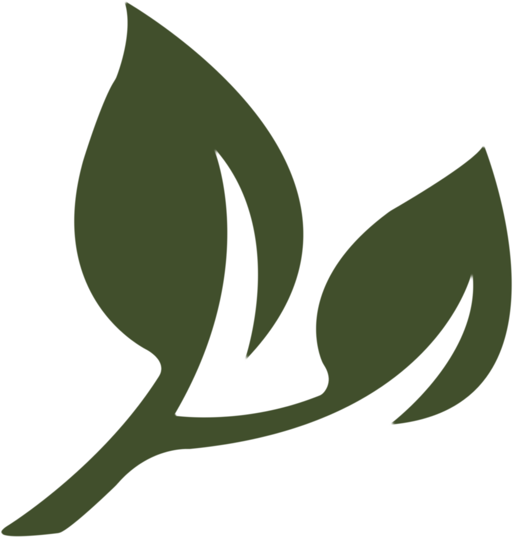 Family Tree Care gallery 4