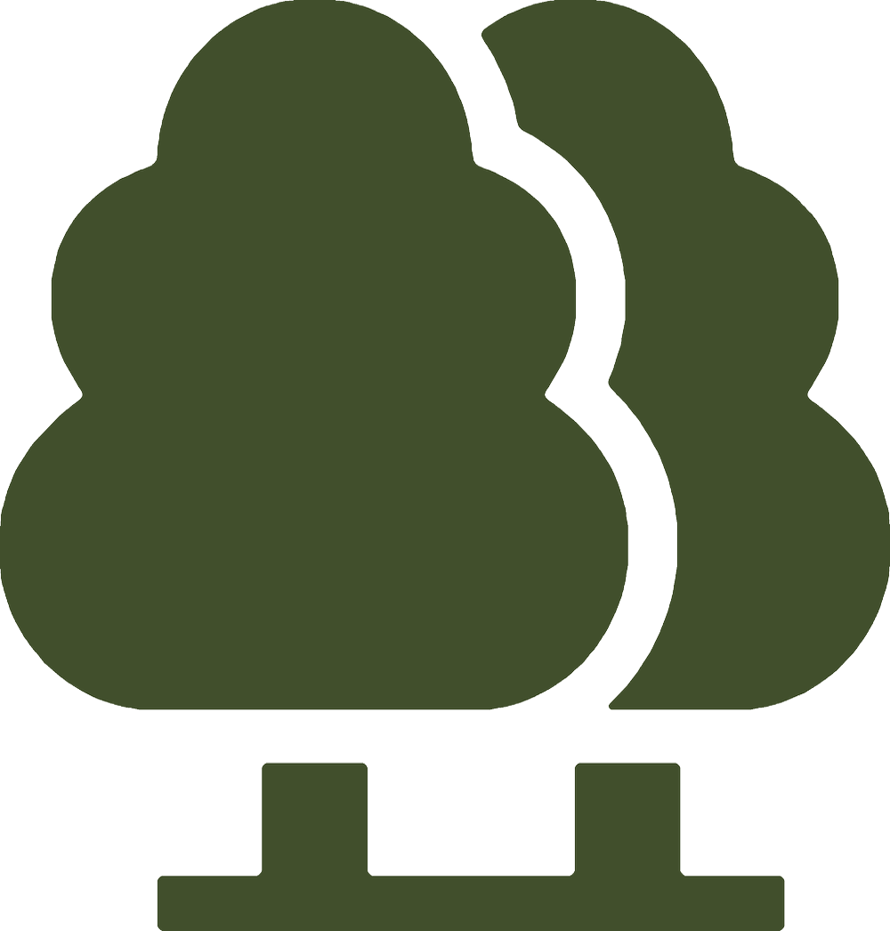 Family Tree Care gallery 6
