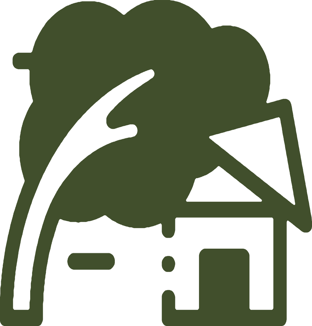 Family Tree Care gallery 7