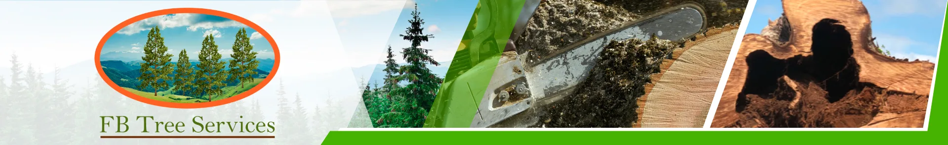 FB Tree Services inc gallery 2