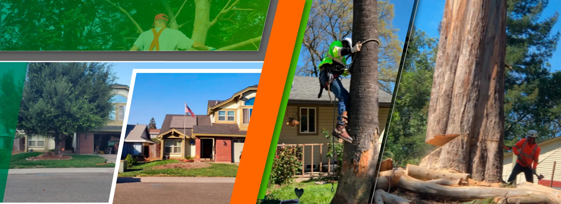 FB Tree Services inc gallery 3