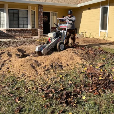 FB Tree Services inc gallery 5