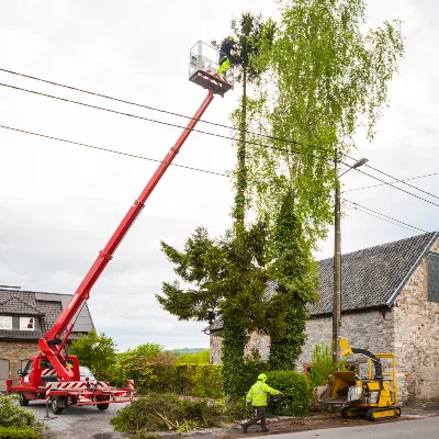 FB Tree Services inc gallery 7