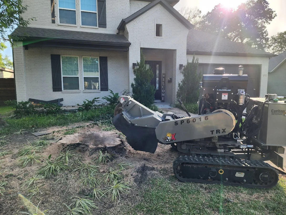 Five Star Tree Service