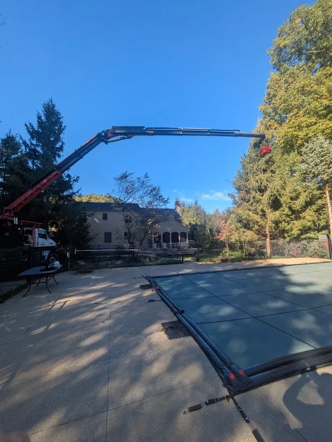 Forest Green Tree Service LLC