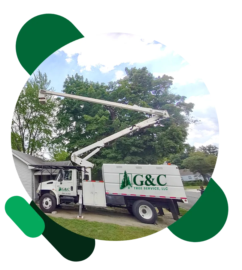 G&C Tree Service, LLC