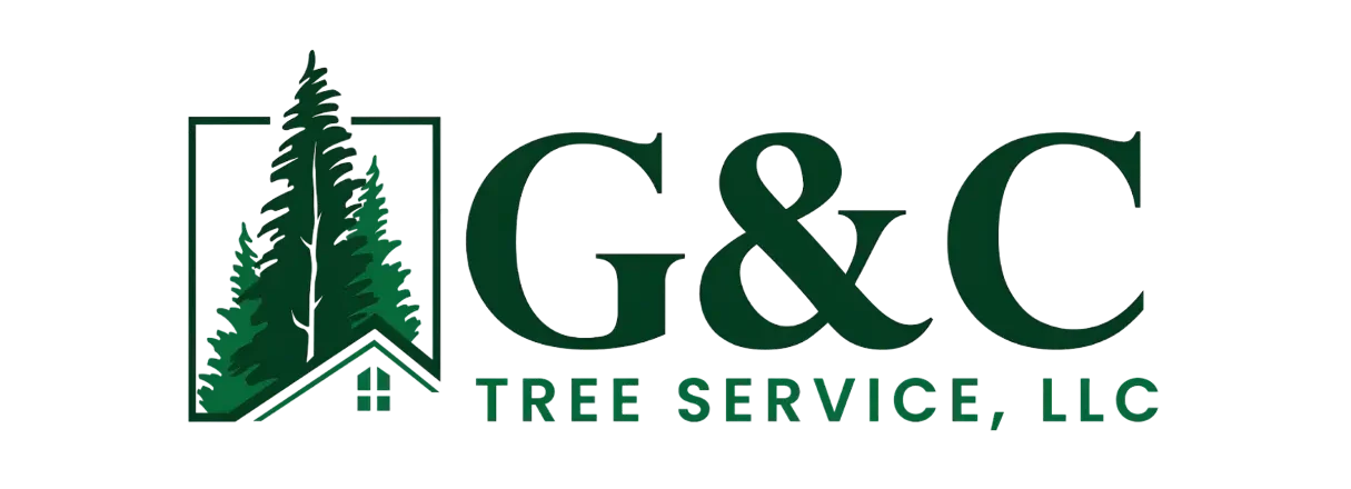G&C Tree Service, LLC gallery 4