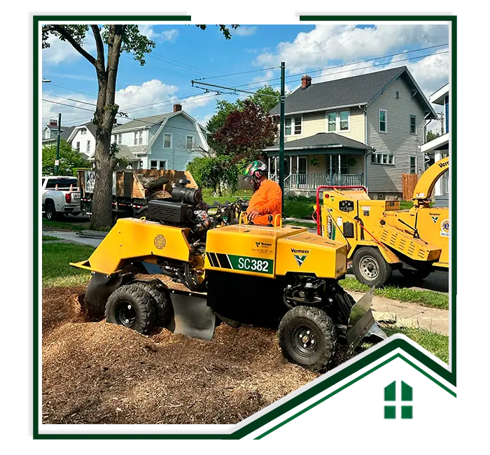 G&C Tree Service, LLC gallery 5