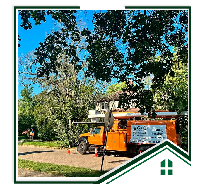 G&C Tree Service, LLC gallery 6