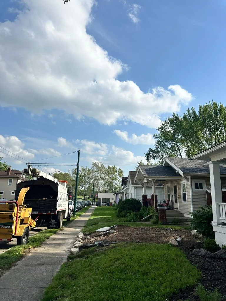 G&C Tree Service, LLC gallery 9