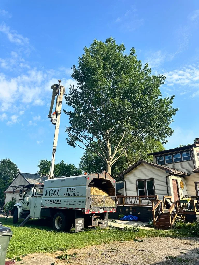 G&C Tree Service, LLC gallery 10