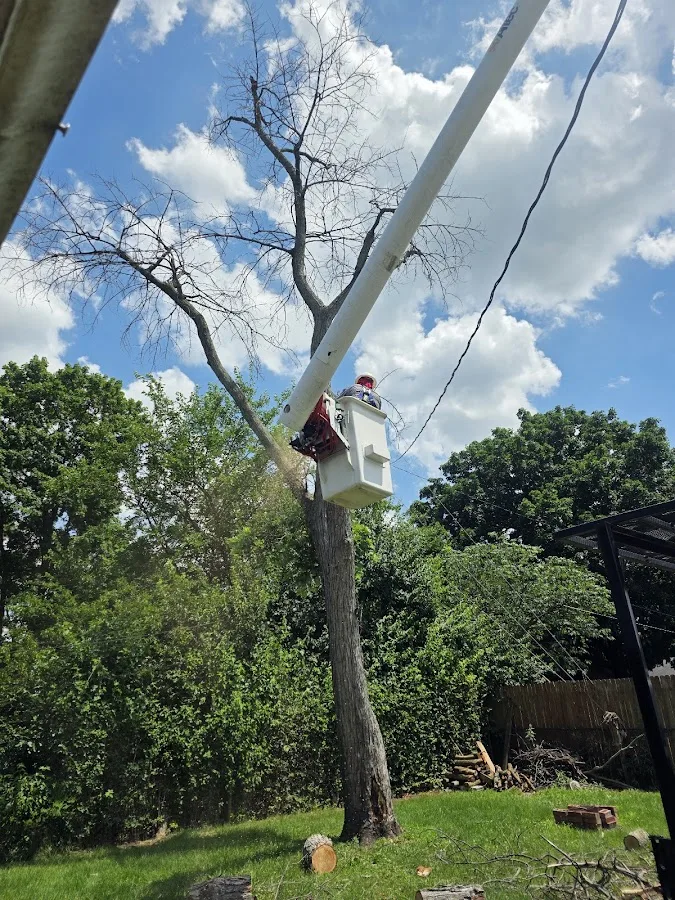 GAD Tree Experts, LLC