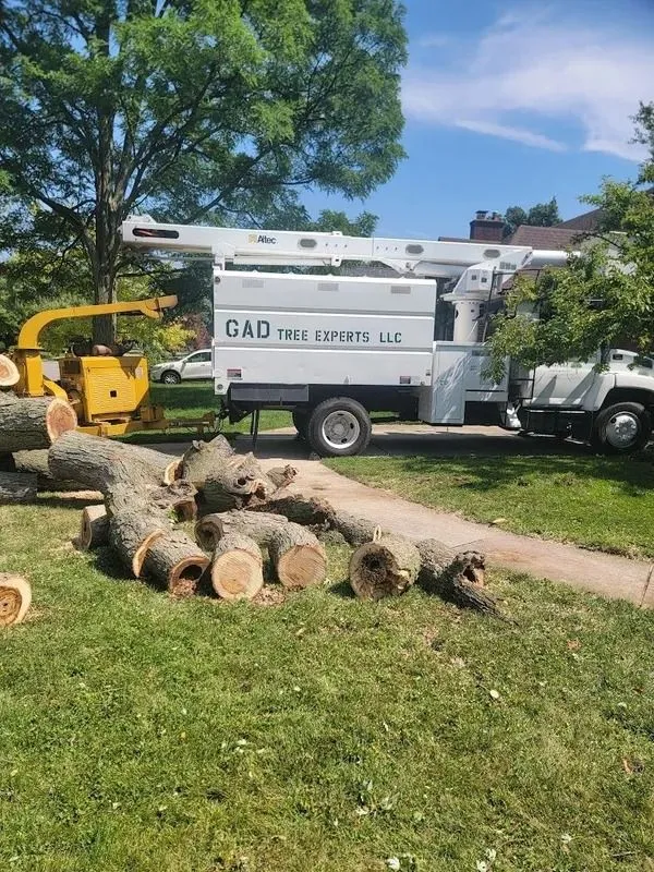 GAD Tree Experts, LLC gallery 6