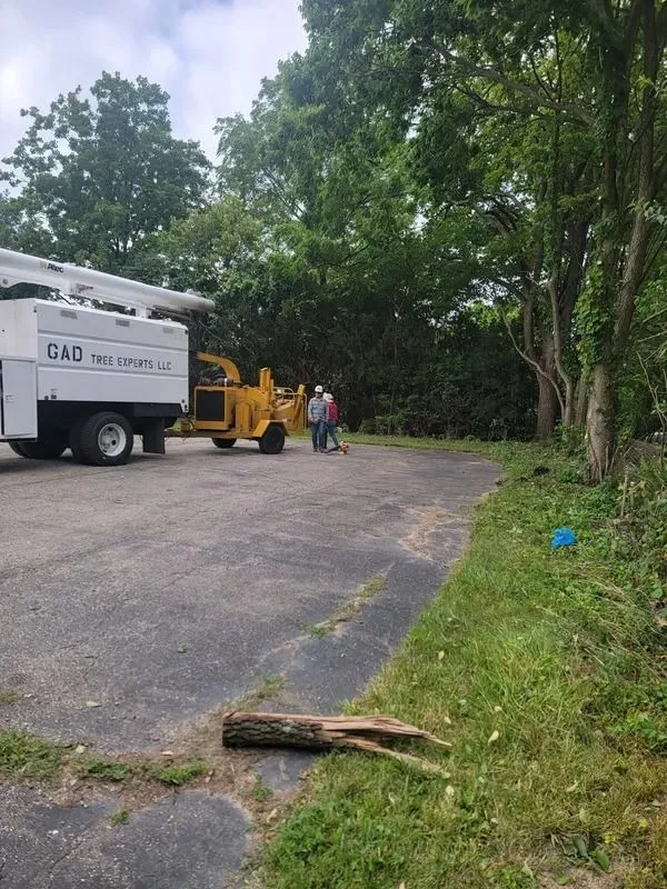 GAD Tree Experts, LLC gallery 9