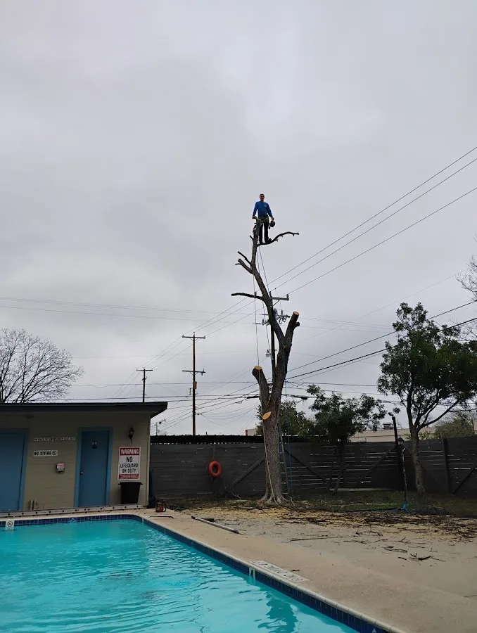 Garcia Tree Services