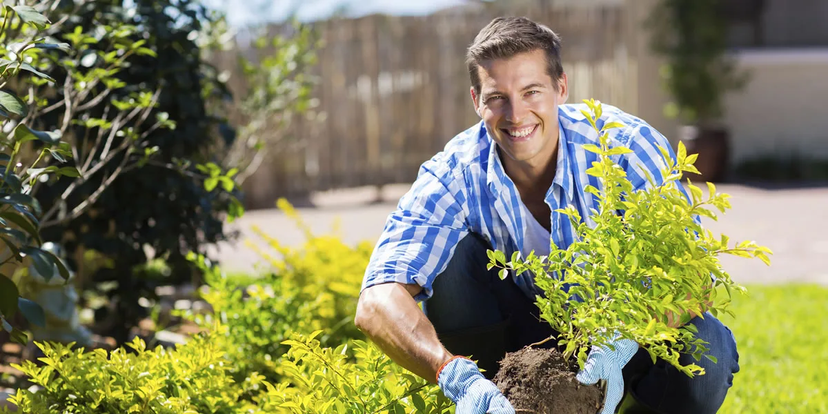 Garcia Tree Services gallery 2