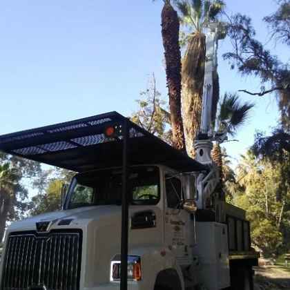 General Tree Service, Inc. gallery 3