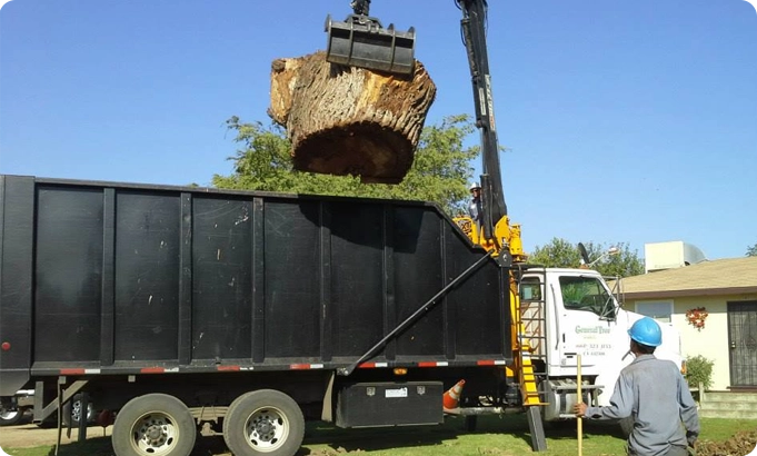 General Tree Service, Inc. gallery 5