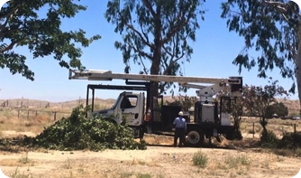 General Tree Service, Inc. gallery 9