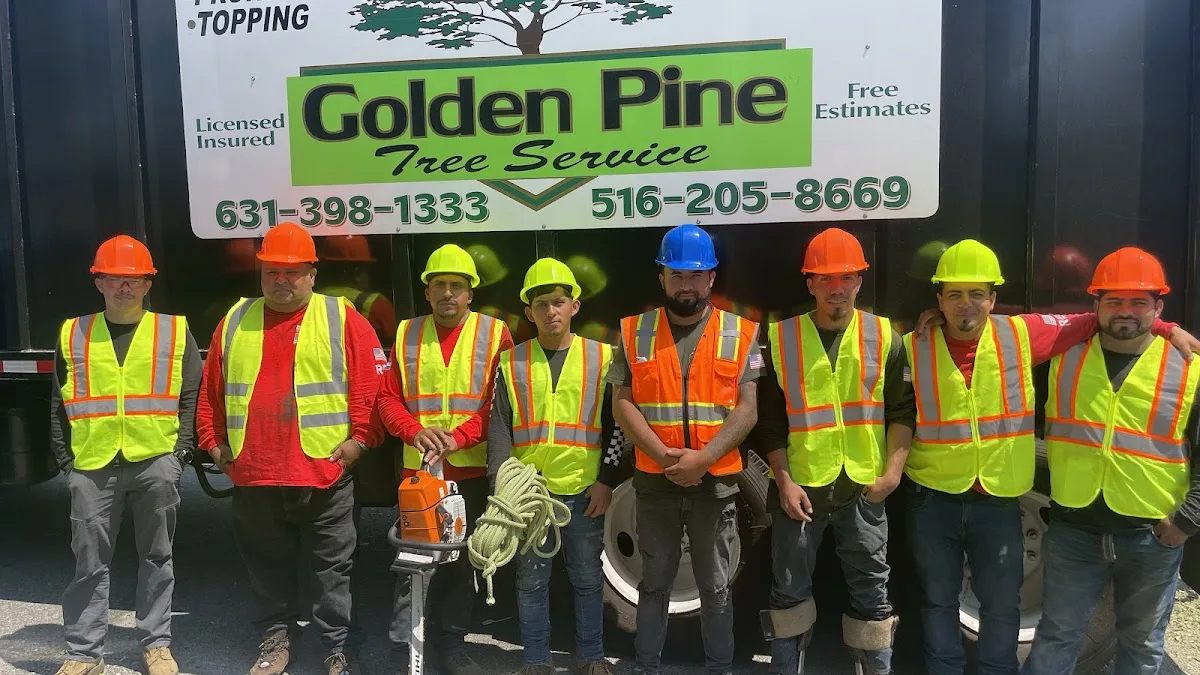 Golden Pine Tree Service Inc. has local signals that shape the first call