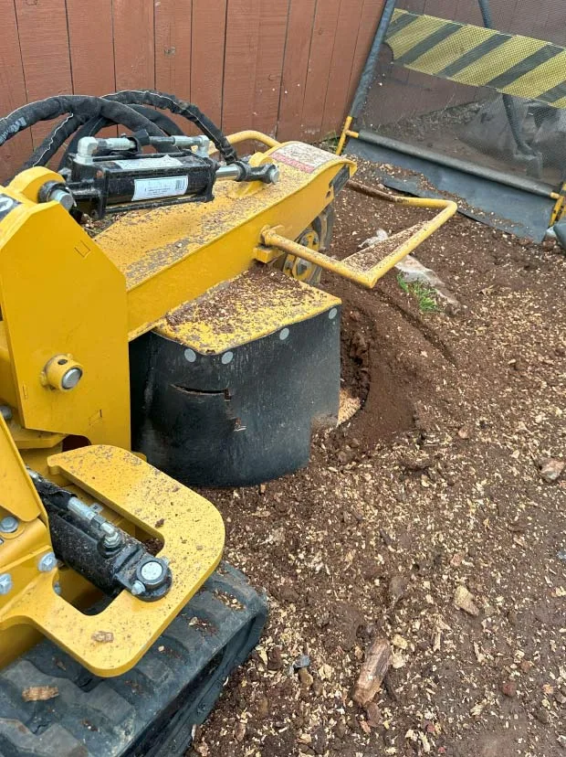Golden Roots Tree Care gallery 7
