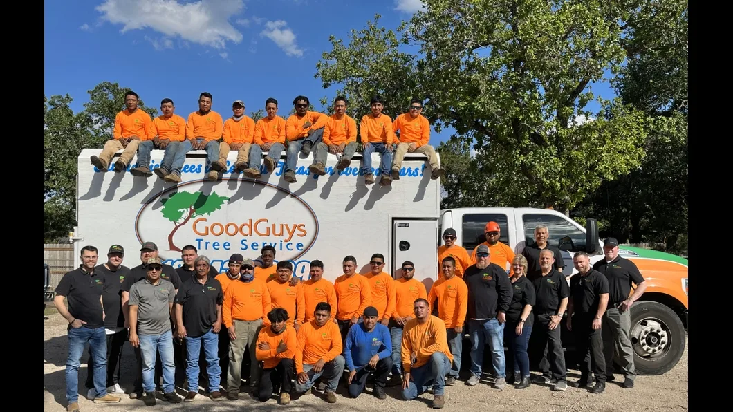Good Guys Tree Service
