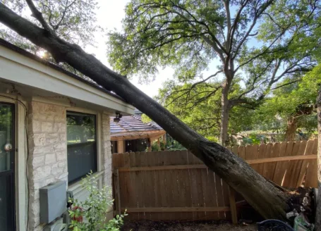 Good Guys Tree Service gallery 2