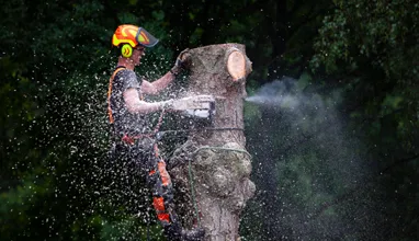 Graham Tree Services Inc gallery 4