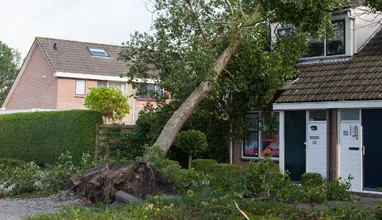 Graham Tree Services Inc gallery 5