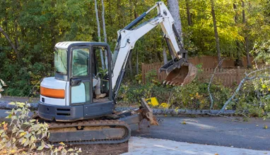 Graham Tree Services Inc gallery 6
